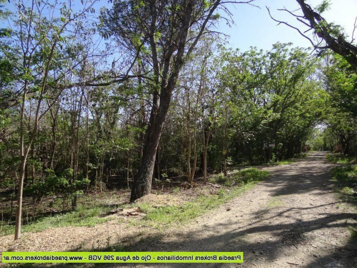  Land in Cordoba, Argentina No. 50149