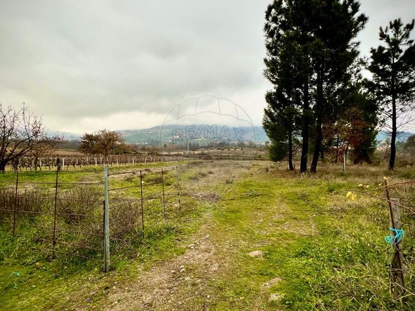  قطعة أرض في Goncalo, Portugal 15500متر مربع رقم 72986