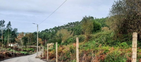 Terreno em Vila de Cucujães, Portugal 13616 m² N.º 59077 4