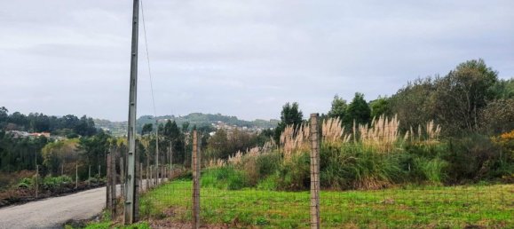 Terreno em Vila de Cucujães, Portugal 13616 m² N.º 59077 2