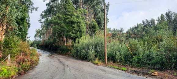 Terreno em Vila de Cucujães, Portugal 13616 m² N.º 59077 7