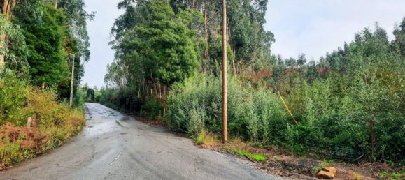 Terreno em Vila de Cucujães, Portugal 13616 m² N.º 59077 6