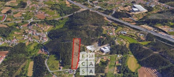 Terreno em Vila de Cucujães, Portugal 13616 m² N.º 59077 9