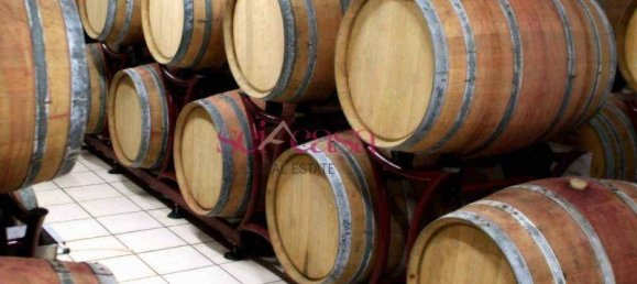 5 rooms Villa in Capalbio, Italy No. 72410 14