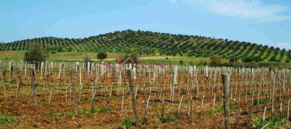 5 rooms Villa in Capalbio, Italy No. 72410 13