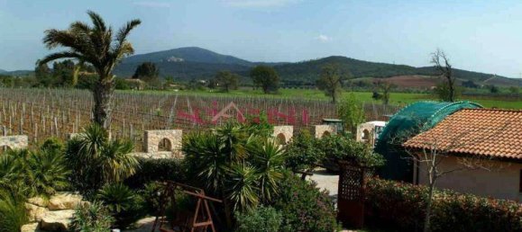 5 rooms Villa in Capalbio, Italy No. 72410 7