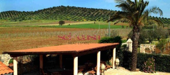 5 rooms Villa in Capalbio, Italy No. 72410 9