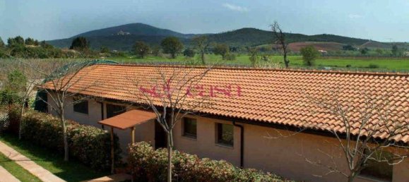 5 rooms Villa in Capalbio, Italy No. 72410 11