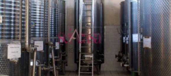 5 rooms Villa in Capalbio, Italy No. 72410 10