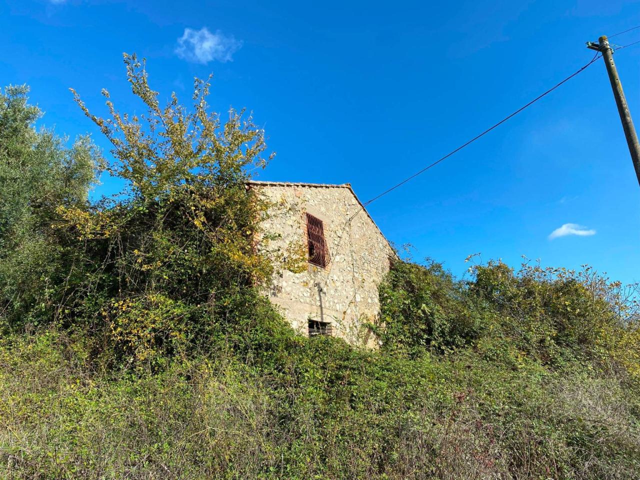 140000m² Land in Penna in Teverina, Italy No. 176636