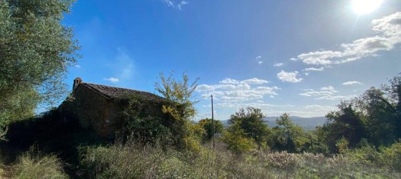 140000m² Land in Penna in Teverina, Italy No. 176636 5