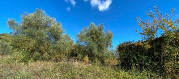 140000m² Land in Penna in Teverina, Italy No. 176636 6