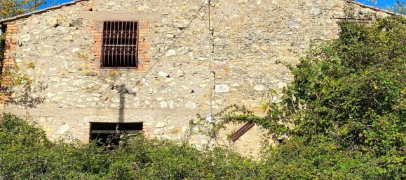 140000m² Land in Penna in Teverina, Italy No. 176636 9