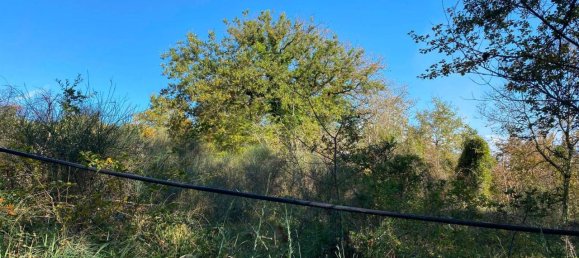 140000m² Land in Penna in Teverina, Italy No. 176636 14