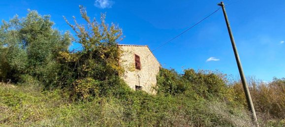 140000m² Land in Penna in Teverina, Italy No. 176636 11