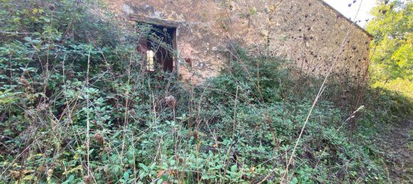 140000m² Land in Penna in Teverina, Italy No. 176636 4