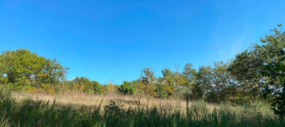 140000m² Land in Penna in Teverina, Italy No. 176636 13