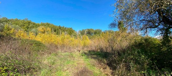 140000m² Land in Penna in Teverina, Italy No. 176636 3