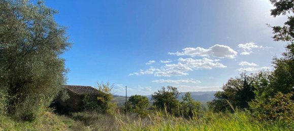 140000m² Land in Penna in Teverina, Italy No. 176636 12