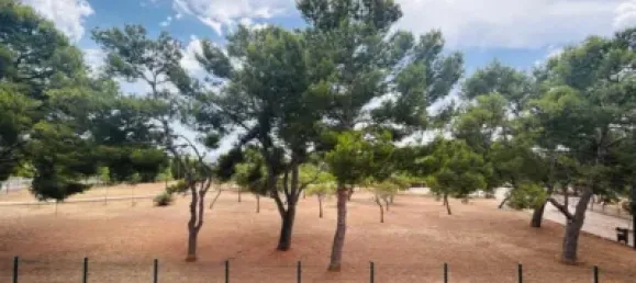 3 chambres Appartement à Inca, Spain No. 172129 18