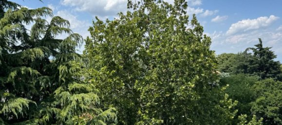 4 bedrooms Penthouse in Padua, Italy No. 348616 10