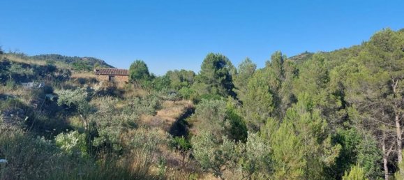 10883m² Land in Jalon, Spain No. 149863 6