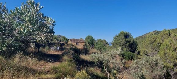 10883m² Land in Jalon, Spain No. 149863 5