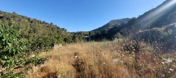 10883m² Land in Jalon, Spain No. 149863 15