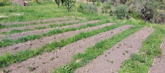 10883m² Land in Jalon, Spain No. 149863 14