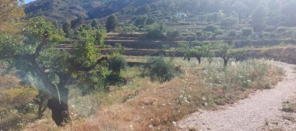 10883m² Land in Jalon, Spain No. 149863 13