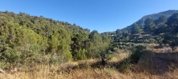 10883m² Land in Jalon, Spain No. 149863 10