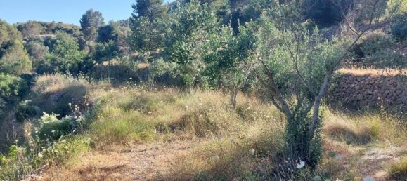 10883m² Land in Jalon, Spain No. 149863 7