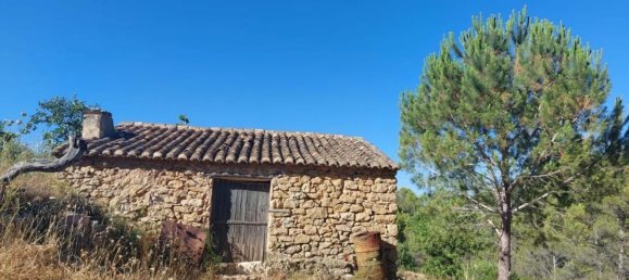 10883m² Land in Jalon, Spain No. 149863 9