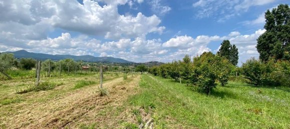 Grundstück in San Cesareo, Italy 8000m², Nr. 126668 18