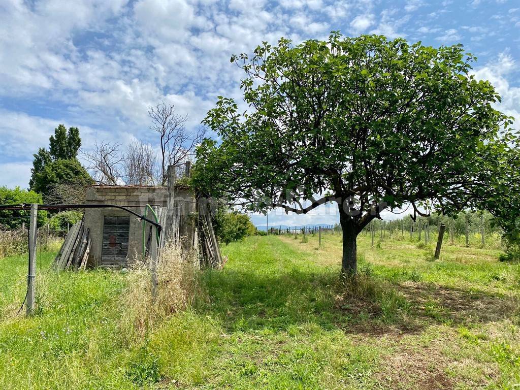 Grundstück in San Cesareo, Italy 8000m², Nr. 126668