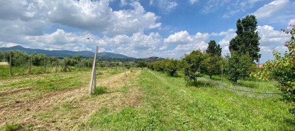 Grundstück in San Cesareo, Italy 8000m², Nr. 126668 30