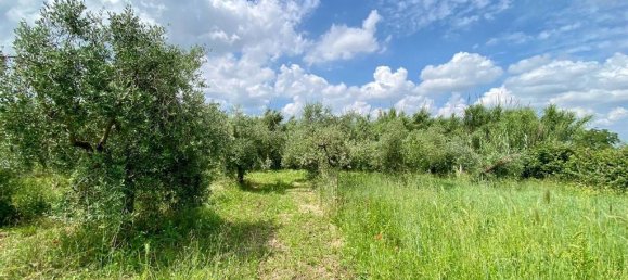 Grundstück in San Cesareo, Italy 8000m², Nr. 126668 23