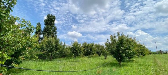 Grundstück in San Cesareo, Italy 8000m², Nr. 126668 11