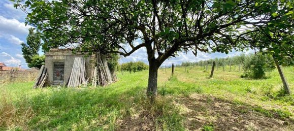 Grundstück in San Cesareo, Italy 8000m², Nr. 126668 12