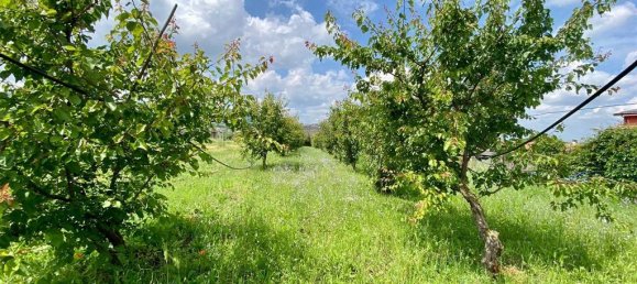 Grundstück in San Cesareo, Italy 8000m², Nr. 126668 27