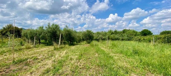 Grundstück in San Cesareo, Italy 8000m², Nr. 126668 9