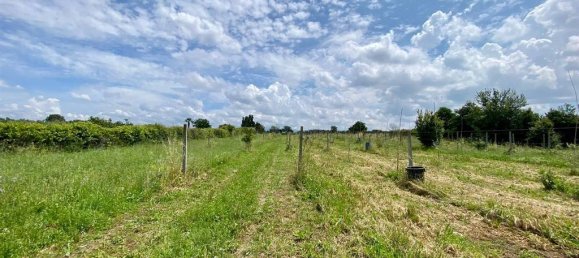 Grundstück in San Cesareo, Italy 8000m², Nr. 126668 7