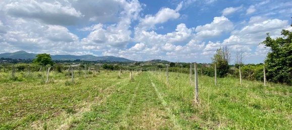 Grundstück in San Cesareo, Italy 8000m², Nr. 126668 3