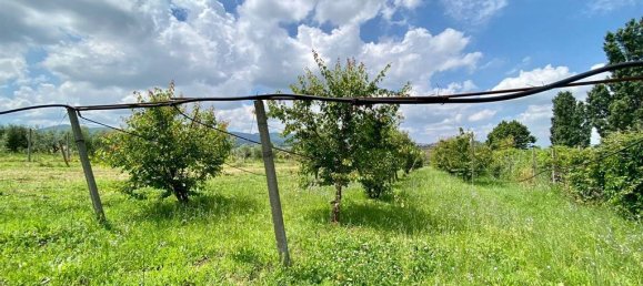 Grundstück in San Cesareo, Italy 8000m², Nr. 126668 14