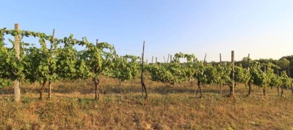 20 rooms House in Siena, Italy No. 196608 21