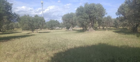  قطعة أرض في Siderno, Italy رقم 344353 7