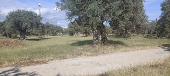  قطعة أرض في Siderno, Italy رقم 344353 5