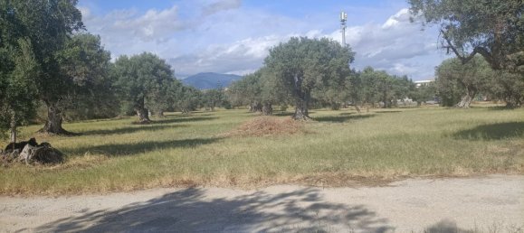  قطعة أرض في Siderno, Italy رقم 344353 4