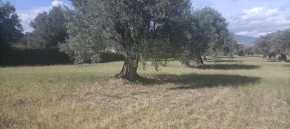  قطعة أرض في Siderno, Italy رقم 344353 9