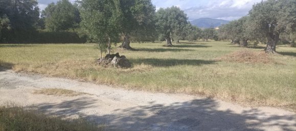  قطعة أرض في Siderno, Italy رقم 344353 3